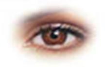 Colored Contact Lenses - Brown