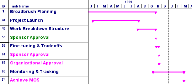broadbrush project plan 1