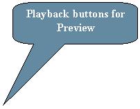 Rounded Rectangular Callout: Playback buttons for Preview