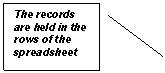Line Callout 2: The records are held in the rows of the spreadsheet