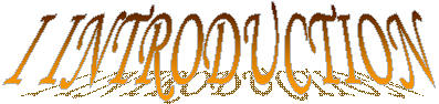 I INTRODUCTION