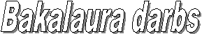 Bakalaura darbs