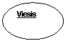 Oval: Viesis