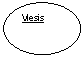Oval: Viesis