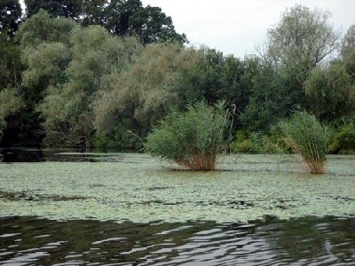 Teljes mrethez klikkelj a kpre!
