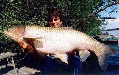 Teljes mrethez klikkelj a kpre!