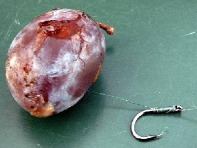 Teljes mrethez klikkelj a kpre!