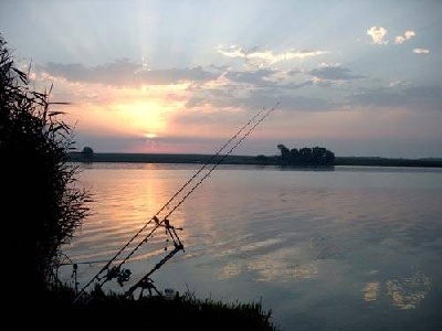 Teljes mrethez klikkelj a kpre!