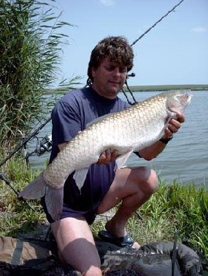 Teljes mrethez klikkelj a kpre!