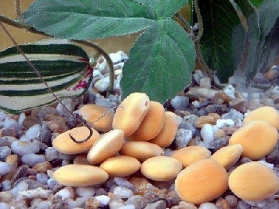 Teljes mrethez klikkelj a kpre!