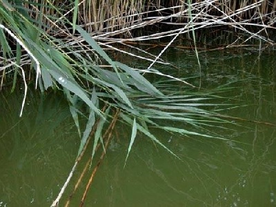 Teljes mrethez klikkelj a kpre!