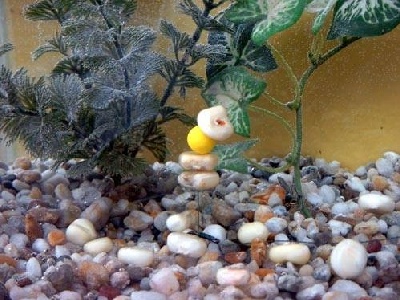 Teljes mrethez klikkelj a kpre!