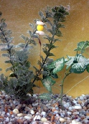 Teljes mrethez klikkelj a kpre!