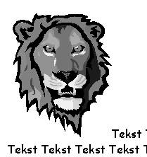 image002.jpg (10738 bytes)