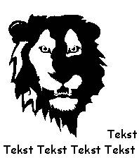 image006.jpg (9054 bytes)