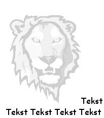 image009.jpg (6204 bytes)