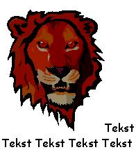 image017.jpg (9476 bytes)