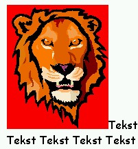 rood.jpg (21142 bytes)