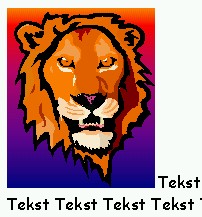 leeuw fect.jpg (20329 bytes)