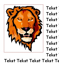 leeuwroodsemi.jpg (27545 bytes)