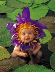 Фото А.Гедес