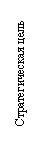 Text Box: Стратегическая цель