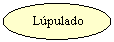 Oval:   Lpulado