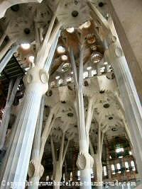 barcelona gaudi architecture inside the Sagrada Familia