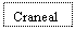 Text Box: Craneal