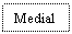 Text Box: Medial