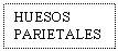 Text Box: HUESOS PARIETALES