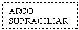 Text Box: ARCO SUPRACILIAR