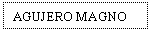 Text Box: AGUJERO MAGNO
