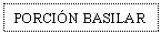 Text Box: PORCIN BASILAR