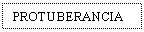 Text Box: PROTUBERANCIA
