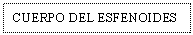 Text Box: CUERPO DEL ESFENOIDES