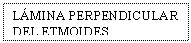 Text Box: LMINA PERPENDICULAR DEL ETMOIDES
