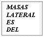 Text Box: MASAS LATERALES 
DEL ETMOIDES
