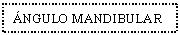 Text Box: NGULO MANDIBULAR