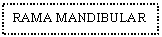 Text Box: RAMA MANDIBULAR