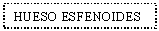 Text Box: HUESO ESFENOIDES