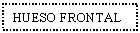 Text Box: HUESO FRONTAL