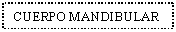 Text Box: CUERPO MANDIBULAR