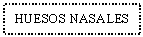 Text Box: HUESOS NASALES