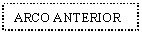 Text Box: ARCO ANTERIOR