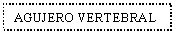 Text Box: AGUJERO VERTEBRAL
