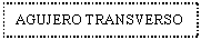 Text Box: AGUJERO TRANSVERSO