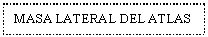Text Box: MASA LATERAL DEL ATLAS