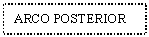 Text Box: ARCO POSTERIOR