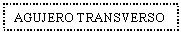Text Box: AGUJERO TRANSVERSO